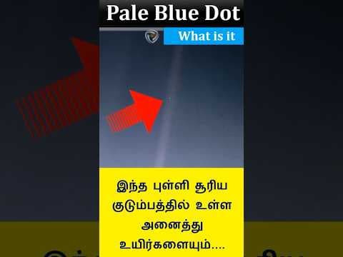 The pale blue dot