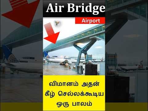 Airport Skybridge