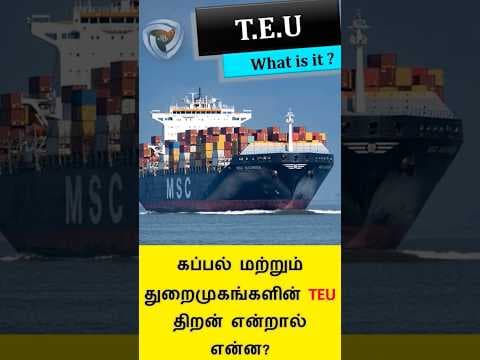 What is TEU