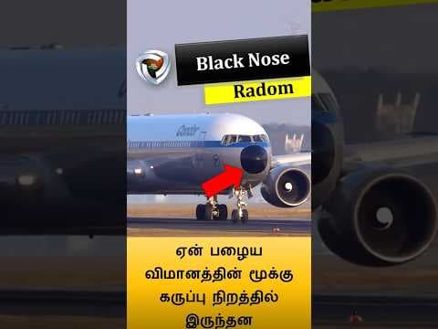 Why nose is black