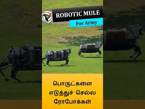 Robotic Mule
